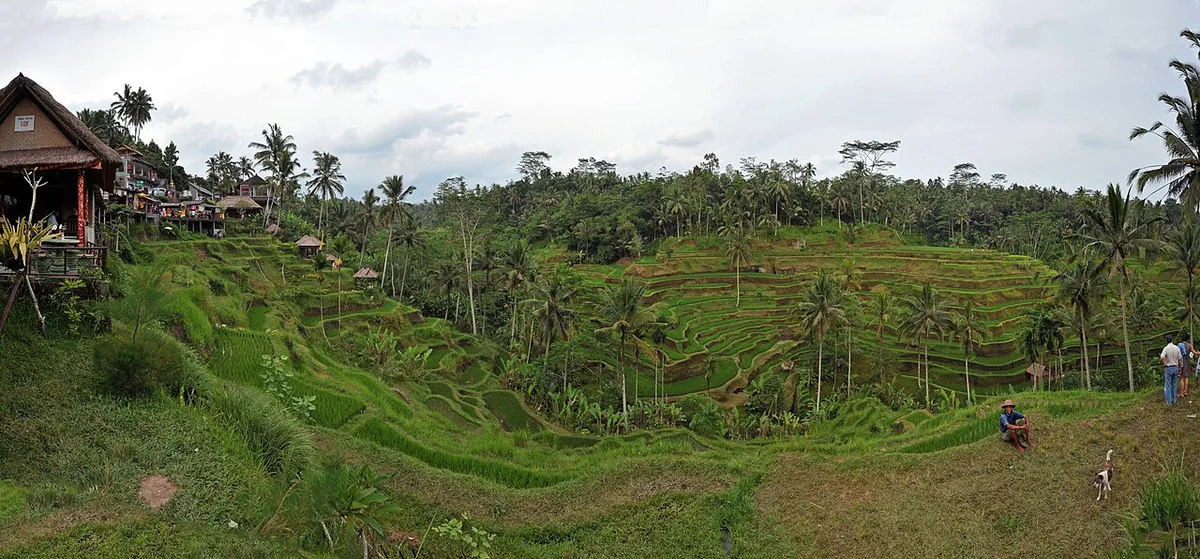 Ubud in Bali